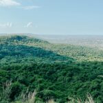 Created with RNI Films app. Profile ‘Fuji Pro 160NS’