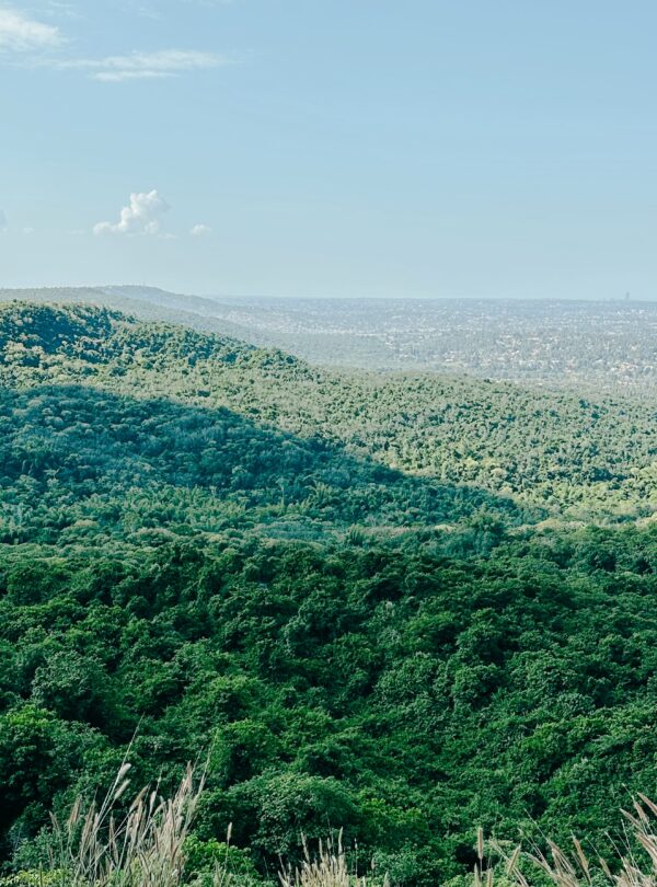 Created with RNI Films app. Profile ‘Fuji Pro 160NS’